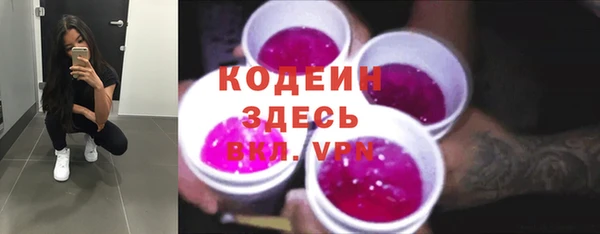 СК Бородино