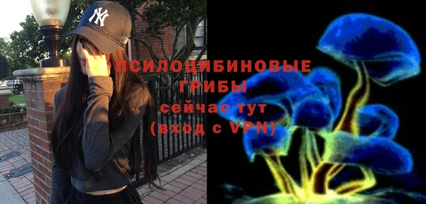 СК Бородино